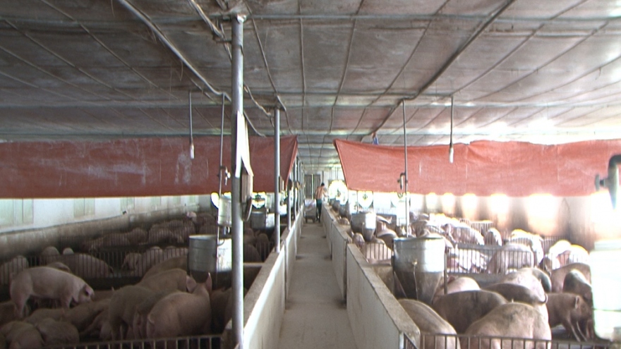 Từ cậu bé bắt phi công trở thành ông chủ trang trại