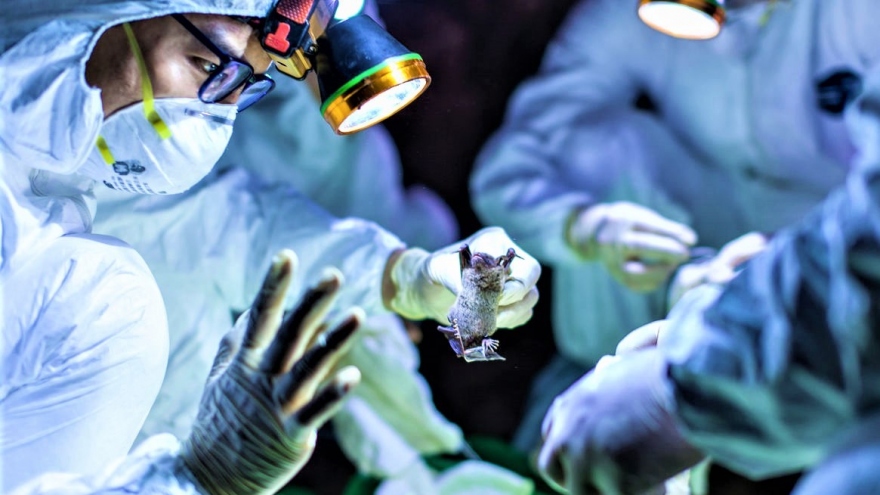 Các nhà khoa học Nga cảnh báo về khả năng bùng phát dịch bệnh mới