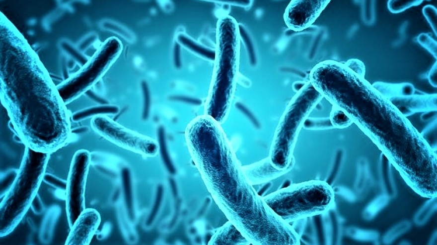 Sử dụng vi khuẩn để xử lý chất thải điện tử độc hại