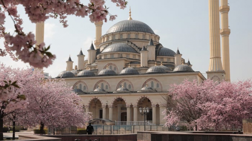 Mùa hoa anh đào buồn trên khắp thế giới vì đại dịch Covid-19