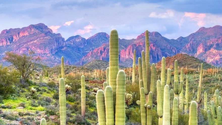 Những sa mạc tuyệt đẹp trên thế giới