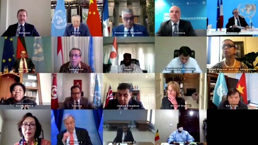 Hội đồng Bảo an thảo luận trực tuyến về tình hình Mali