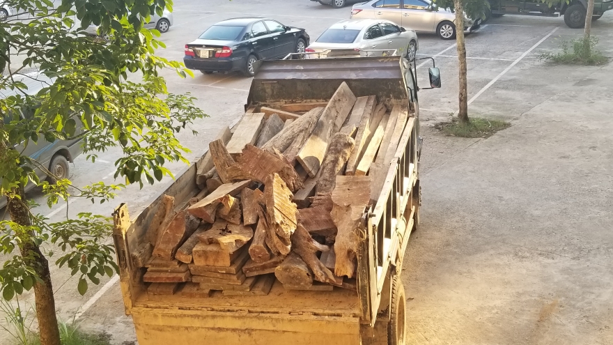 Bắc Kạn bắt giữ xe tải vận chuyển gỗ trái phép