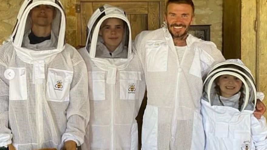 David Beckham và các con mặc đồ bảo hộ tiếp cận ong ngay trong sân nhà
