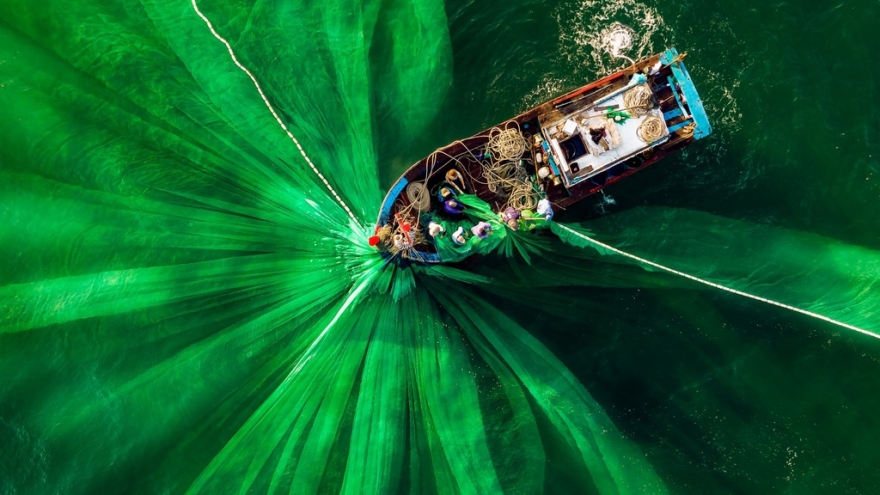 Hình đánh cá Việt Nam và loạt ảnh xanh mát thắng giải quốc tế