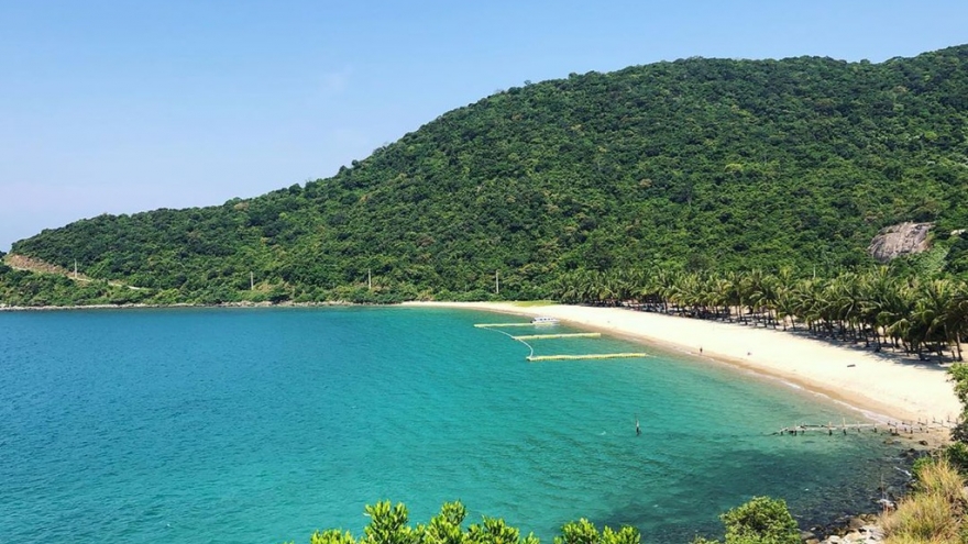 Trải nghiệm lặn biển ngắm san hô ở đảo Cù Lao Chàm