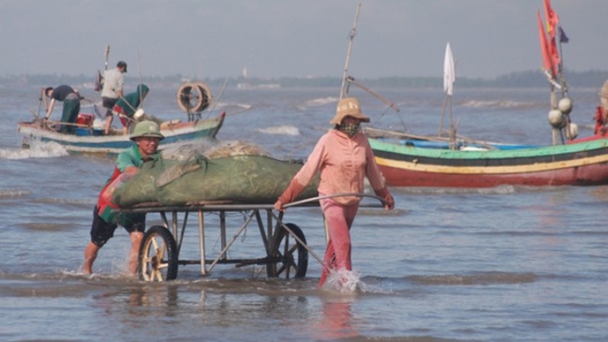 Đi lộng đánh bắt hải sản, ngư dân Nghệ An thu nhập tiền triệu mỗi ngày