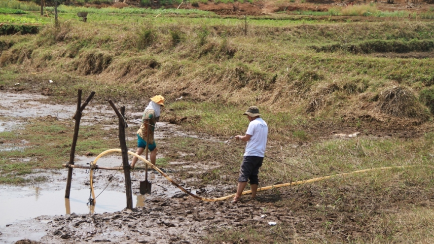 Tây Nguyên khô hạn, gian nan tìm nước cho 2 triệu ha cây trồng