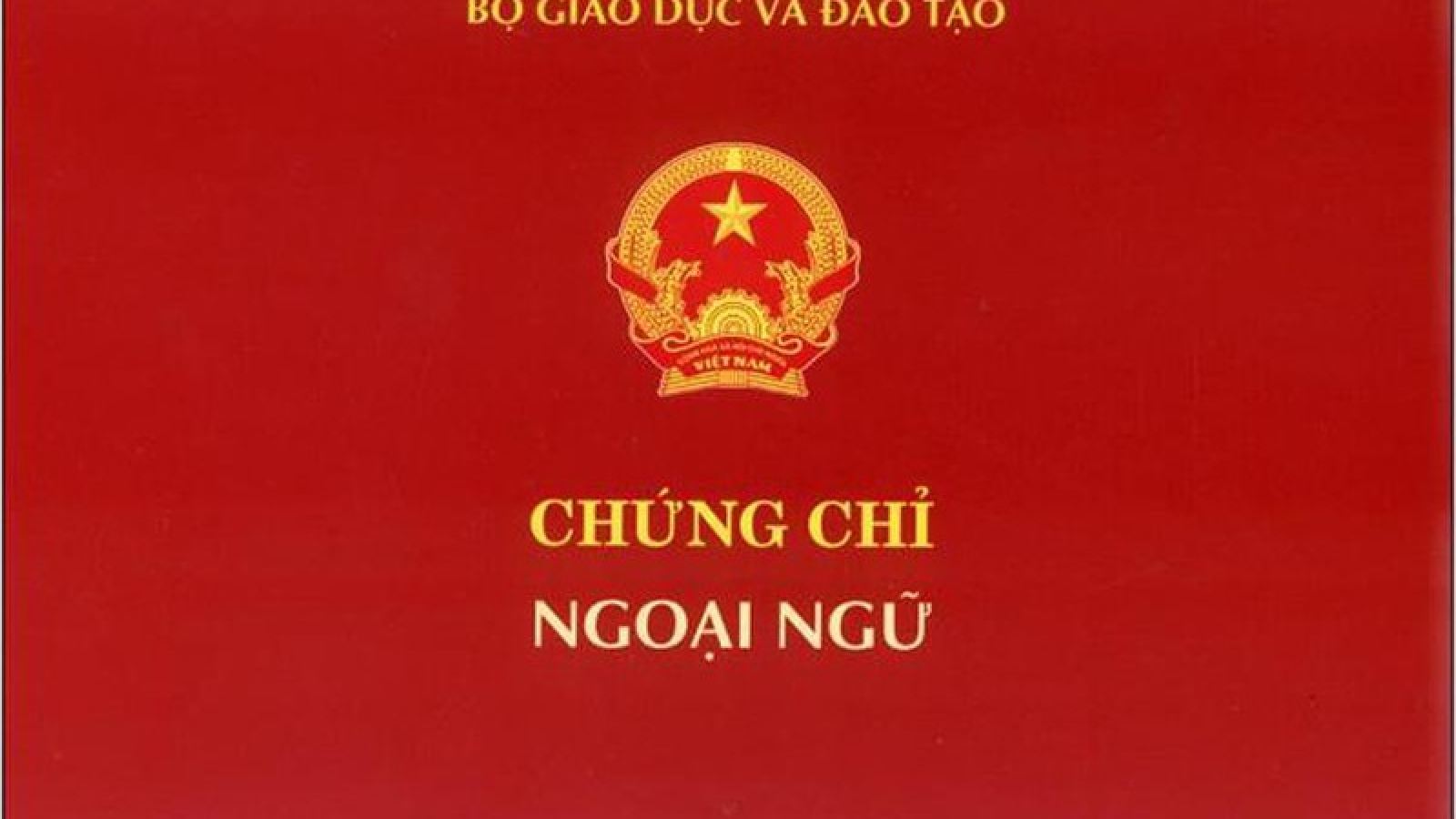 Những cơ sở nào được tổ chức thi, cấp chứng chỉ ngoại ngữ, tin học