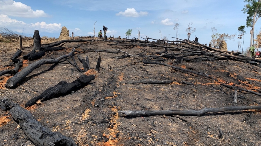 Thâm nhập điểm nóng phá rừng Ea Kar