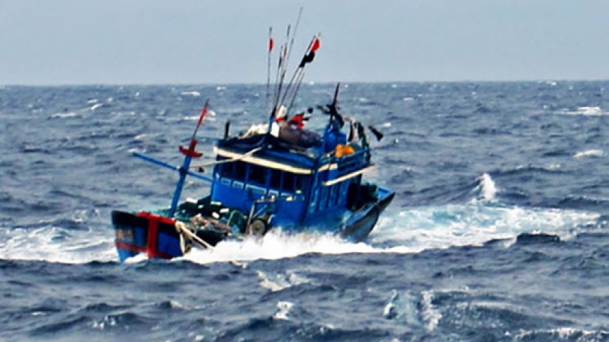 Tàu cá ở Bình Định cùng 2 ngư dân mất liên lạc nhiều ngày trên biển