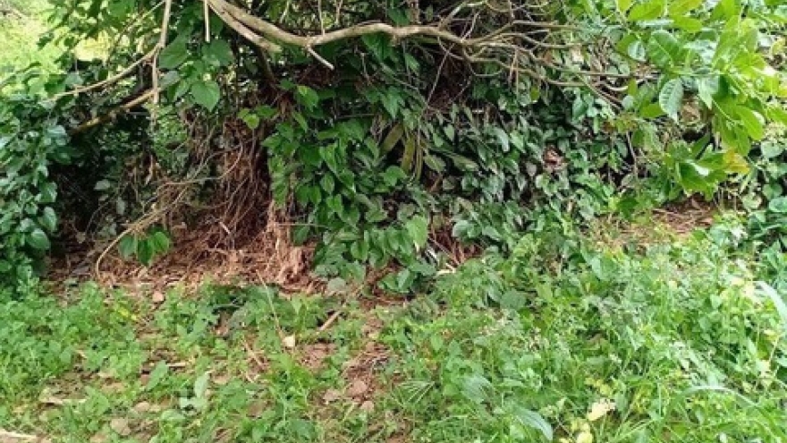 Phát hiện một tử thi không rõ lai lịch ở Gia Lai