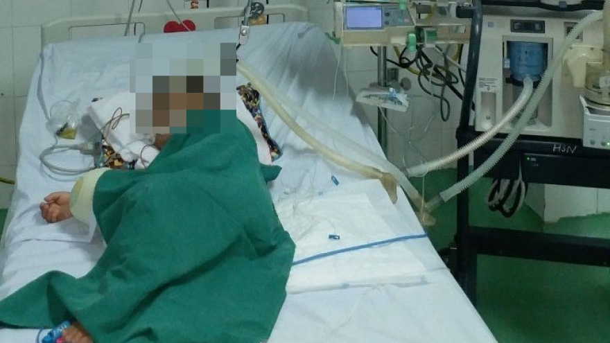 Phá tổ ong vò vẽ, bé trai 4 tuổi bị đốt hơn 80 mũi