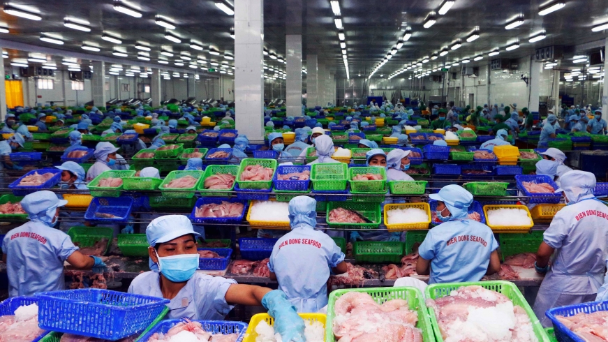 Doanh nghiệp phàn nàn quy trình cấp chứng nhận xuất xứ “khổ như con ốm”
