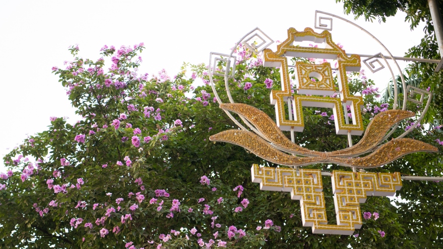 Hoa bằng lăng khoe sắc “nhuộm tím” đường phố Hà Nội