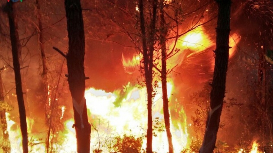 Cháy rừng Hà Tĩnh: Vì sao khó khống chế đám cháy