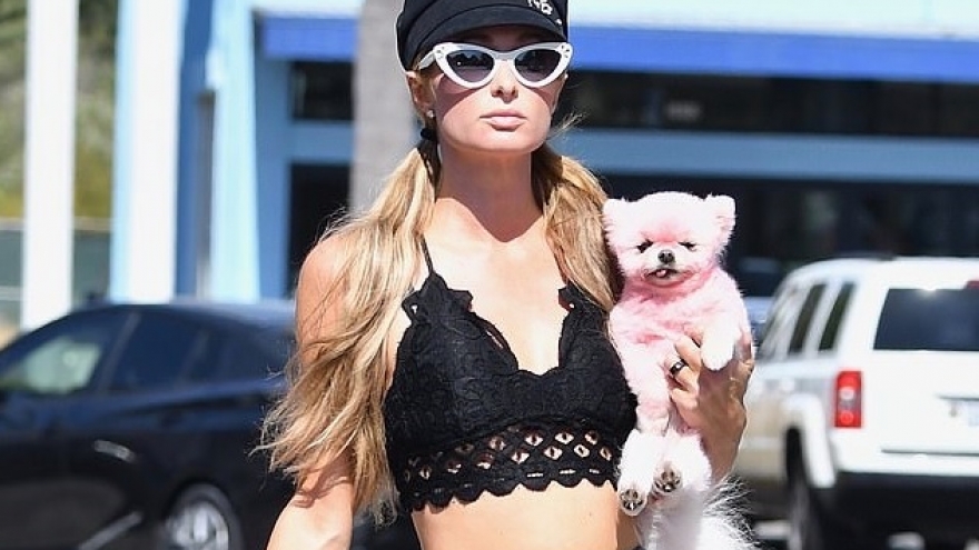 “Cô đào” Paris Hilton mặc bra nóng bỏng, ôm thú cưng ra phố ở Malibu
