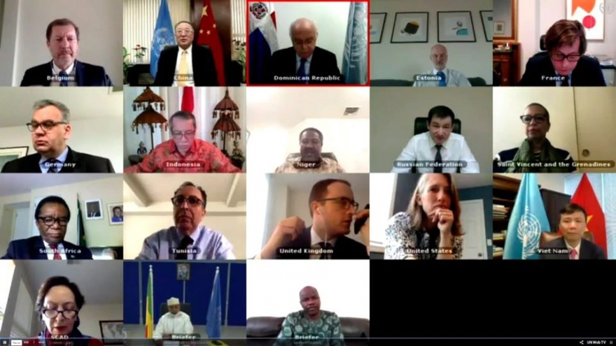 Hội đồng Bảo an thảo luận trực tuyến về tình hình Mali