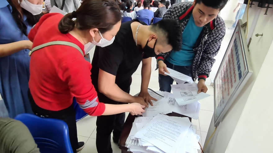 Hải Phòng tạm dừng cấp giấy xác nhận và kiểm soát phương tiện vận tải