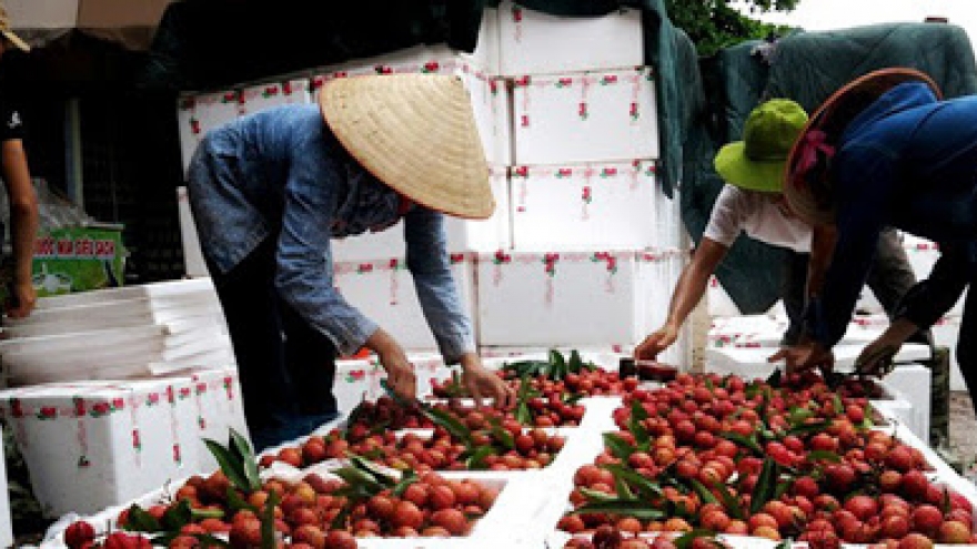 ​Giao thương trực tuyến nông sản, thực phẩm Việt Nam - Trung Quốc