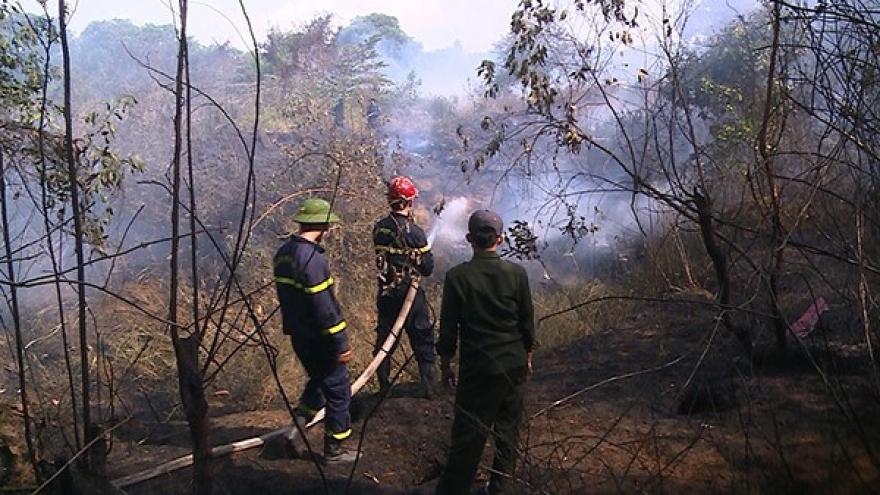 Miền Trung chủ động phòng chống cháy rừng