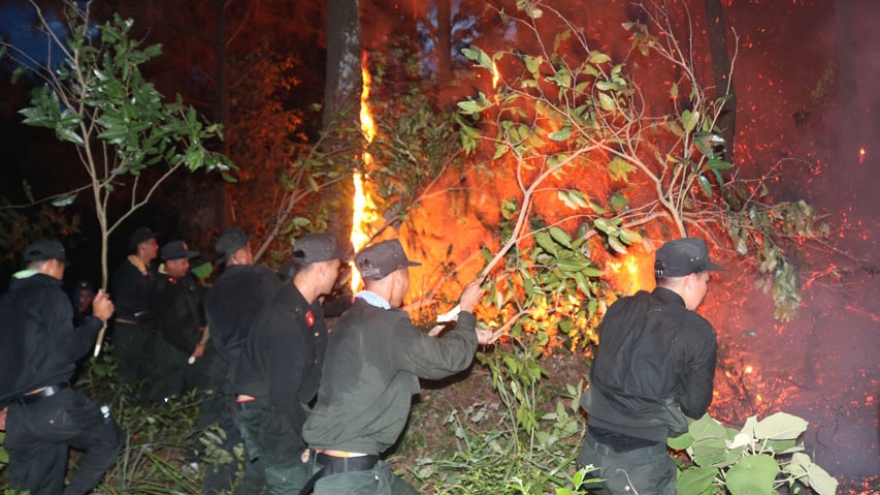Hơn 100 cán bộ, chiến sỹ cảnh sát cơ động tham gia chữa cháy rừng
