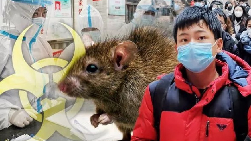 WHO đang giám sát trường hợp bệnh dịch hạch tại Trung Quốc