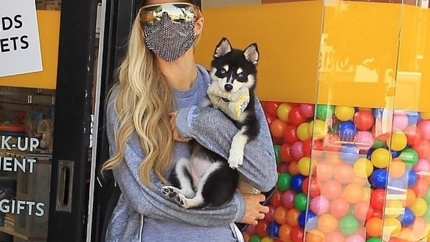 “Cô đào” Paris Hilton giản dị bế thú cưng đi dạo phố