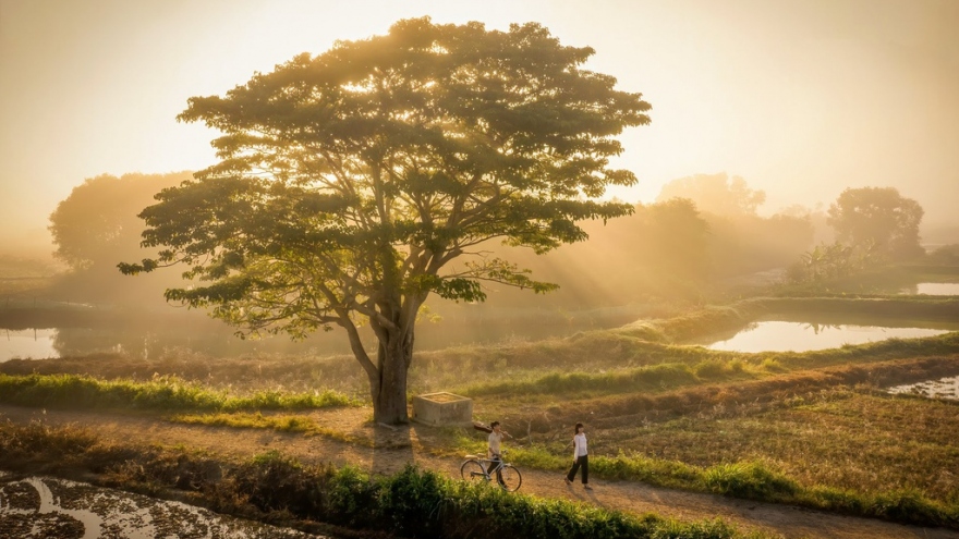4 điểm sống ảo hút giới trẻ check-in ở Huế
