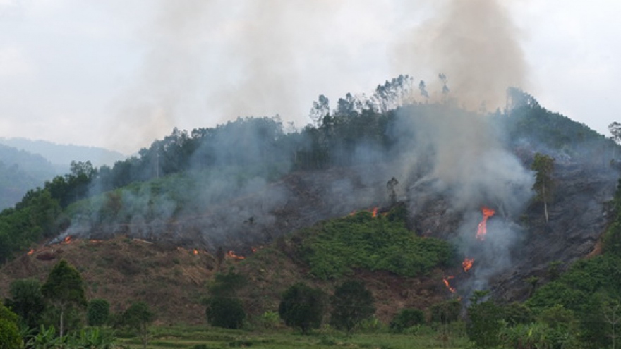 Điều tra, khởi tố vụ cháy hơn 32 ha rừng ở Quảng Nam