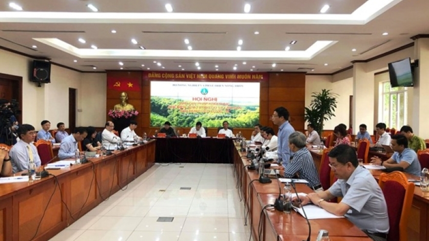 Khôi phục xuất khẩu gỗ: Tận dụng tốt các cơ hội về thị trường