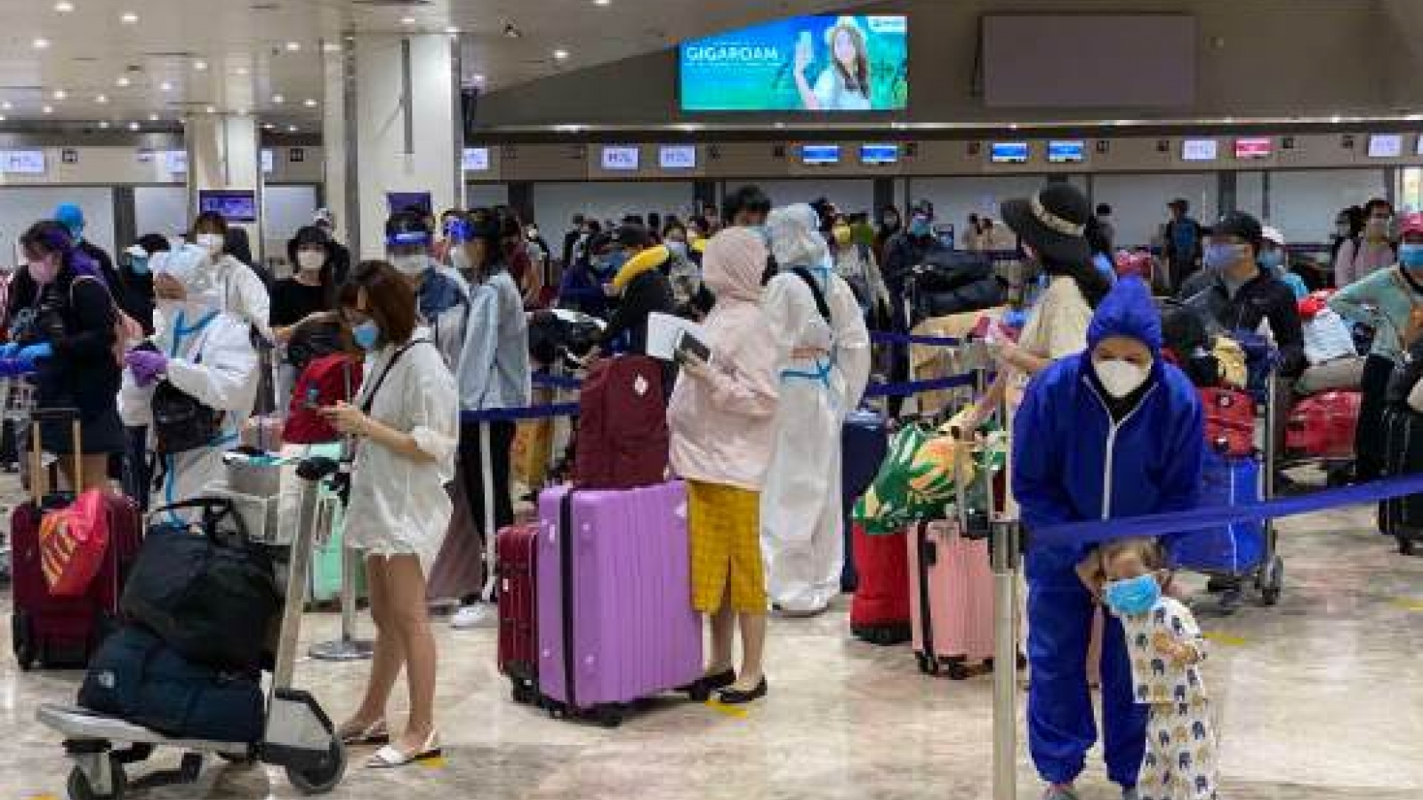 Hôm nay đưa 240 công dân Việt Nam từ Philippines về nước