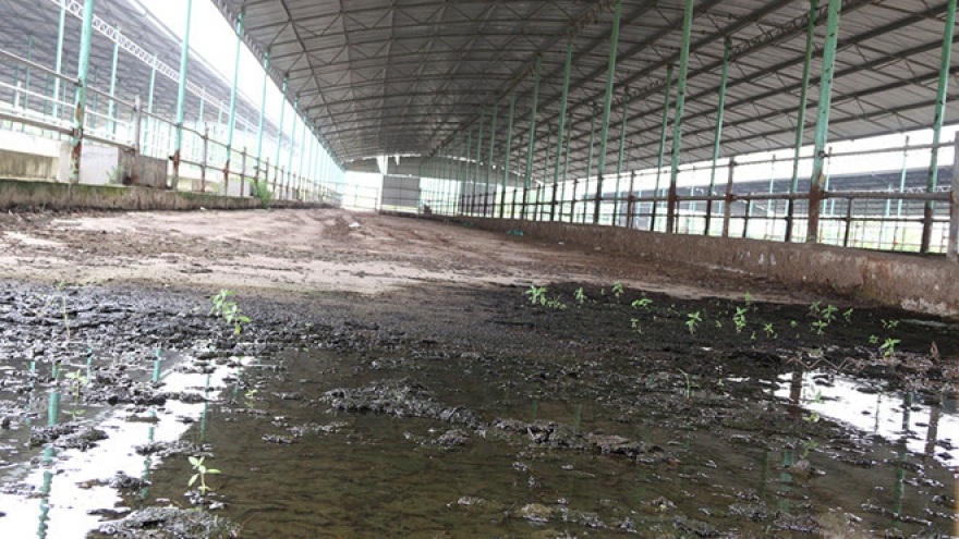 Nóng 24h: Truy tố 12 bị can đại án gây thất thoát 1.600 tỷ đồng