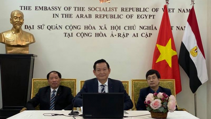 Hội thảo trực tuyến về Chủ tịch Hồ Chí Minh tại Ai Cập