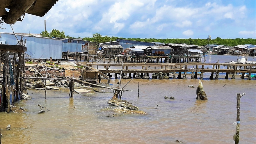 12 căn nhà bị sụp xuống sông lúc nửa đêm ở Cà Mau