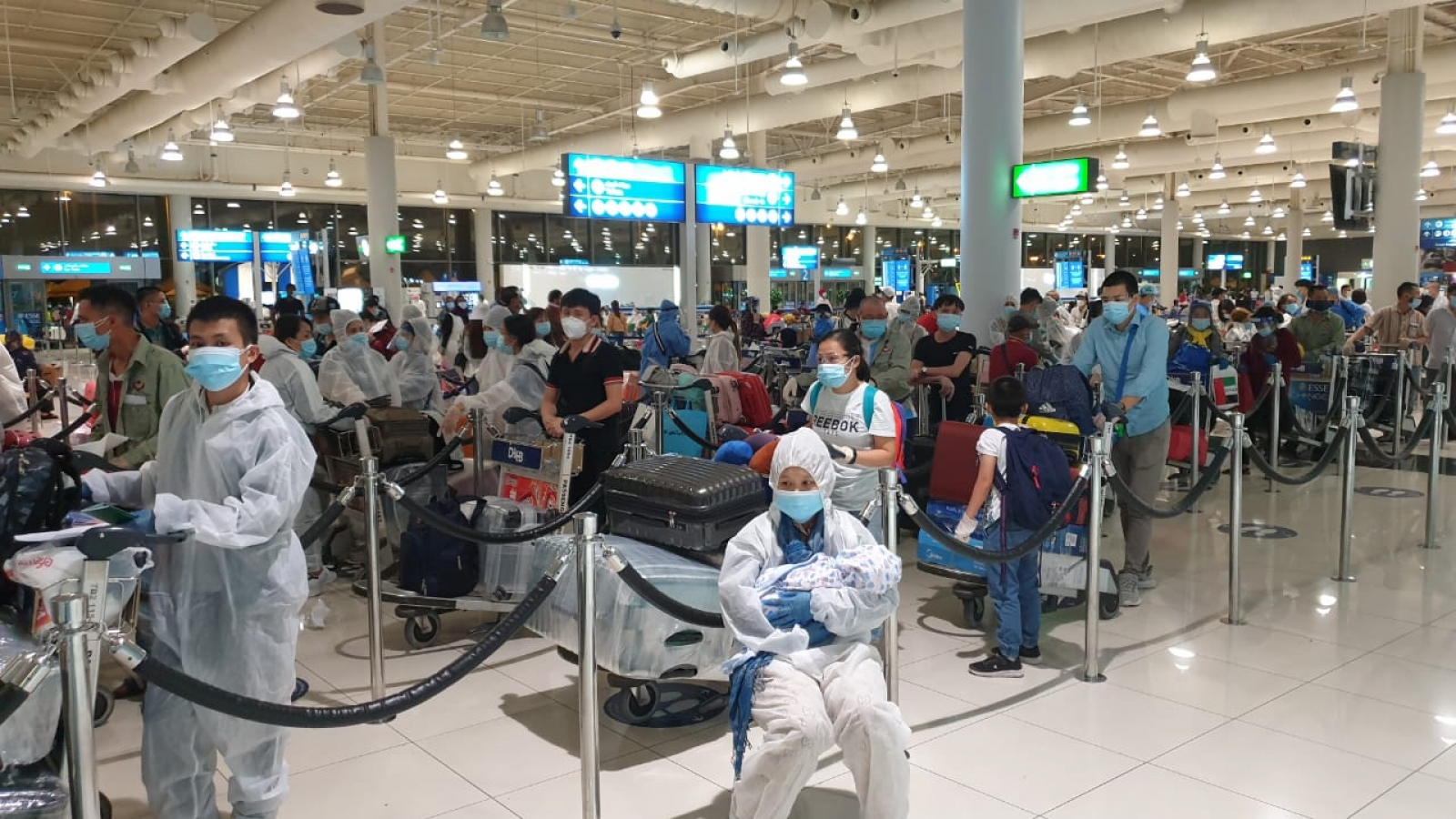 Đưa hơn 300 công dân Việt Nam từ Canada và Hàn Quốc về nước