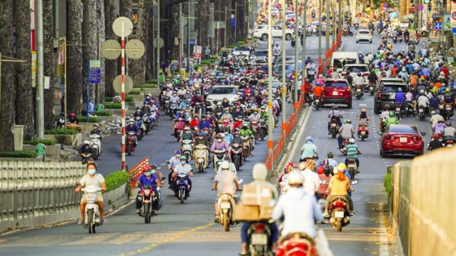 Chuyên gia y tế đề nghị phạt nặng người vô ý thức đổ ra đường
