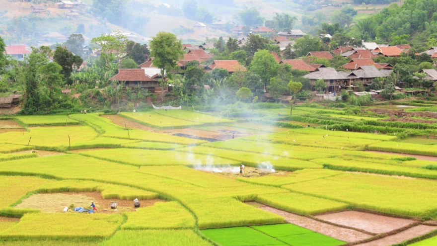 Chuyện những lá đơn xin thoát nghèo từ Nậm Pồ