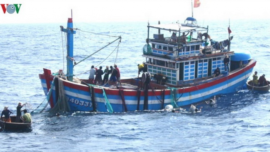 Một tàu cá Quảng Trị mất liên lạc khi đánh bắt trên biển