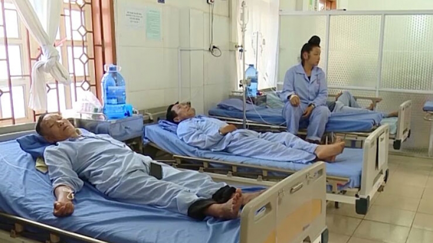 Vụ ngộ độc vì ăn bọ xít: Cần thay đổi thói quen ăn uống bừa bãi