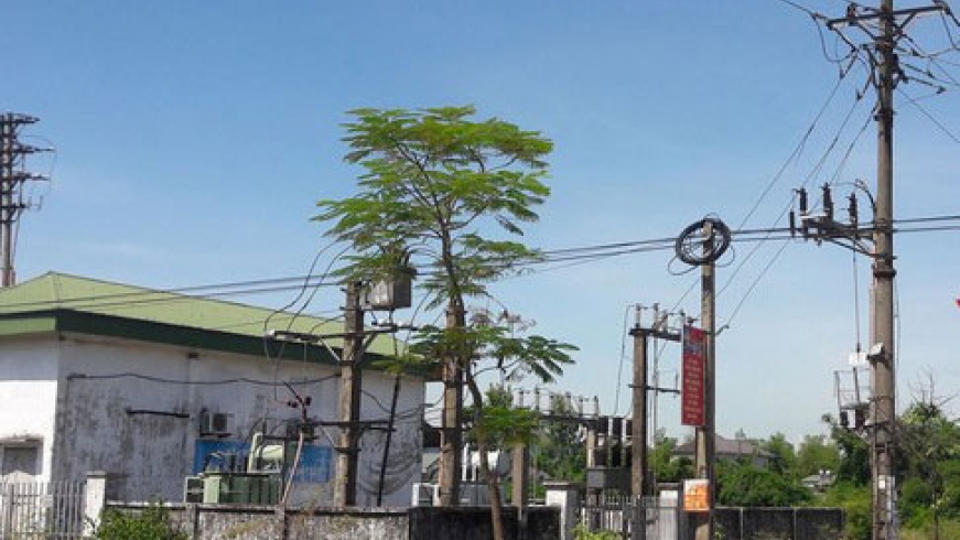 Một nhân viên bị điện phóng bỏng nặng, tạm đình chỉ công tác 8 người