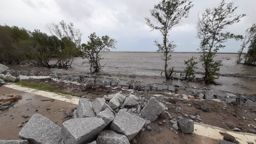 Nguy cơ vỡ đê biển Cà Mau, đề xuất ban bố tình huống khẩn cấp