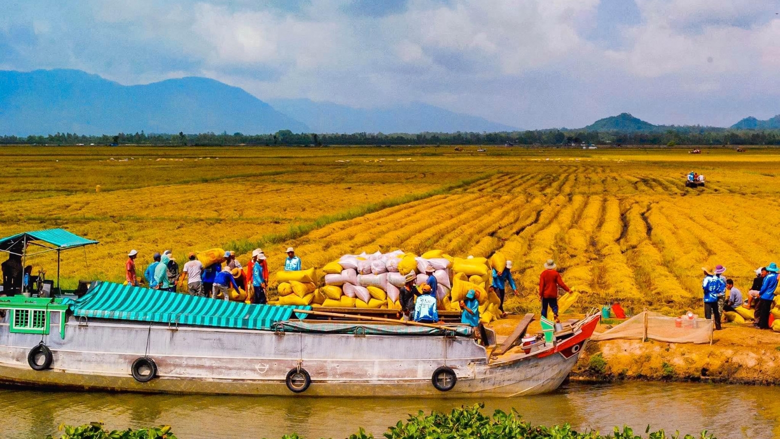 ĐBSCL chuyển đổi tư duy sản xuất nông nghiệp sang kinh tế nông nghiệp