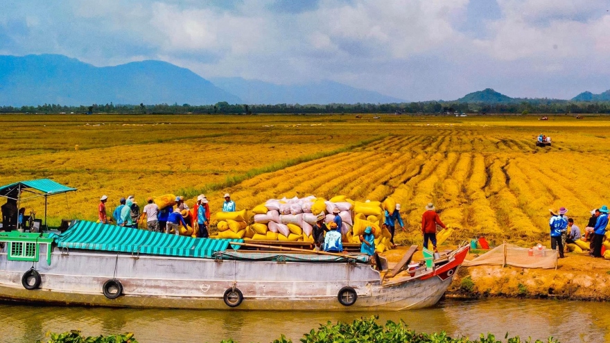 ĐBSCL chuyển đổi tư duy sản xuất nông nghiệp sang kinh tế nông nghiệp