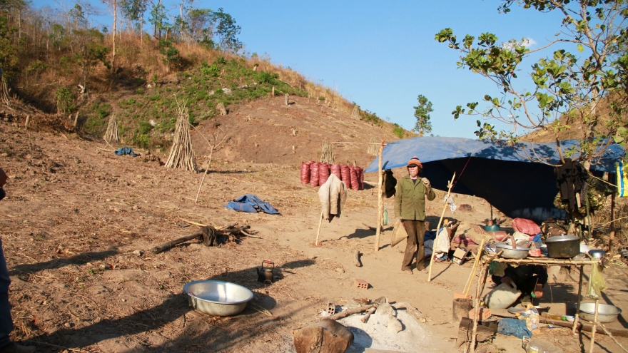 Bài toán khó cho 345.000 ha đất lâm nghiệp và 150.000 hộ dân ở Tây Nguyên