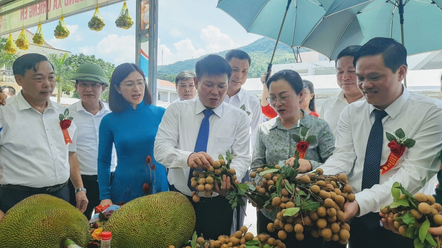 Nông sản Sơn La vươn ra “biển lớn“