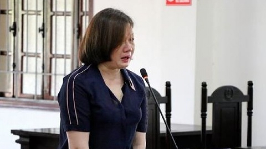 Lừa đảo, nữ cán bộ Thanh tra tỉnh lãnh 30 năm tù