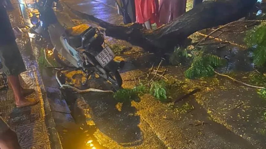 Cây xanh đổ trong cơn mưa lớn đè chết người đi đường ở TP HCM