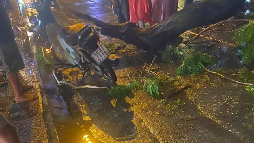 Cây xanh đổ trong cơn mưa lớn đè chết người đi đường ở TP HCM