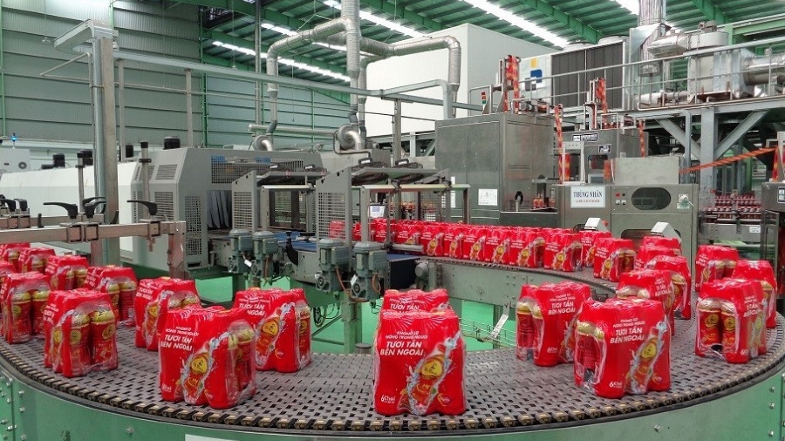 Tăng sức khỏe mỗi ngày với thức uống thảo mộc đóng chai tiện lợi